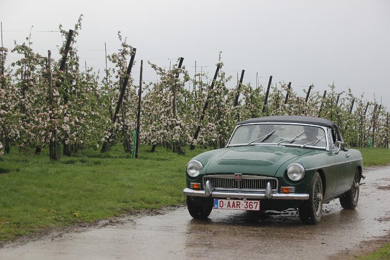MG Bloesemrit op 24-4-2016 org. Jos&Marie-lou  (226).JPG